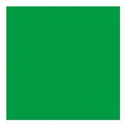 Chroma Key Verde (2,75 x 5...